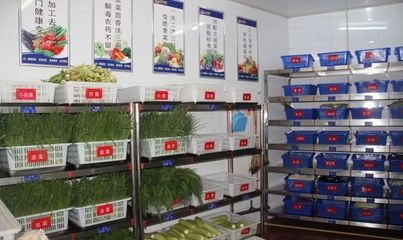 中成偉業-慶樂餐飲“零”底薪團隊打造路演班