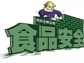 監(jiān)督網(wǎng)絡餐飲 維護食品安全